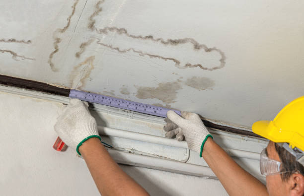 Reliable Mold Remediation contractor in Hiram, ME by Water Damage Irwin